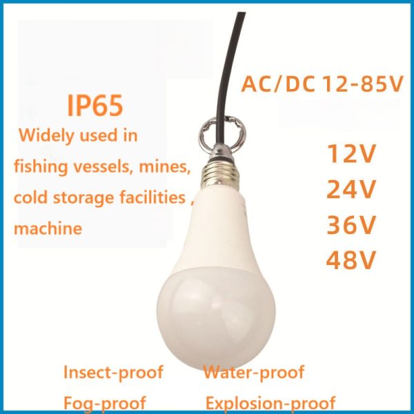 Factory customize Low voltage AC DC12V 24V 36V 48V LED bulb waterproof IP65 shipping vessel light mine light cold storage machine light - Image 2