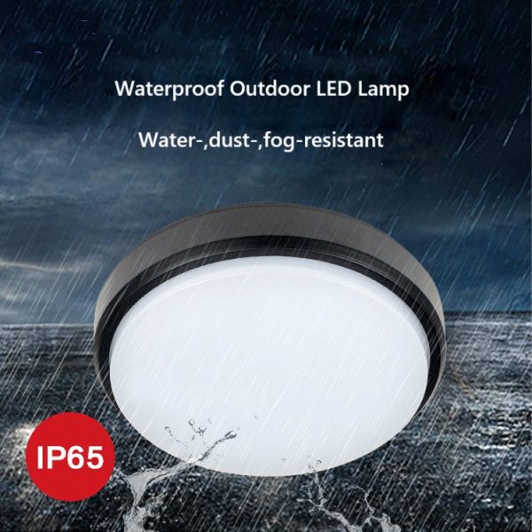 IP65 mounted lamp for bedroom washroom kitchen corridor outdoor - Image 2