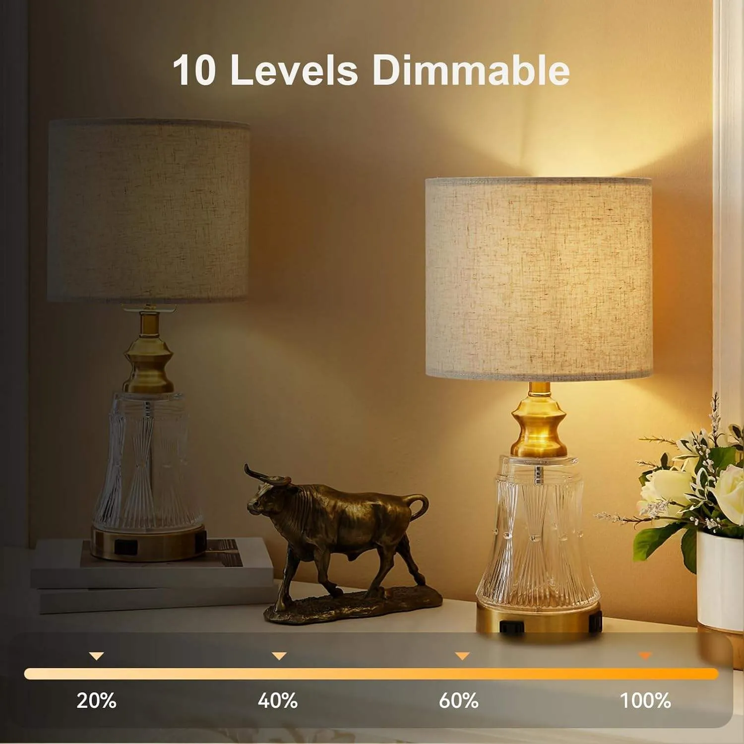 E26 Rechargeable RGB Dimming Bulb 10 level dimming