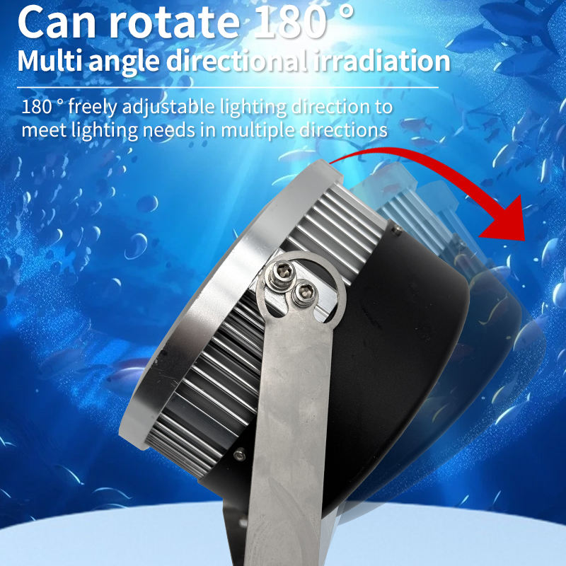 fishing aggregation light