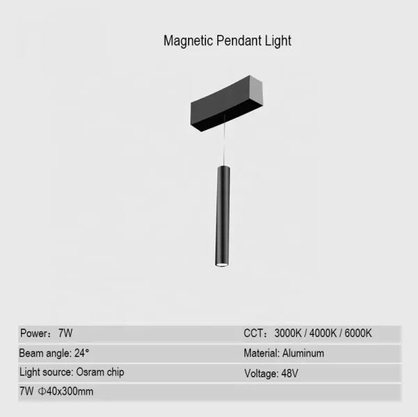 Pendant light for magnetic track light system